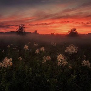 外国野外撒尿视频
